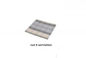 lot 6 serviettes carreaux gris bleu